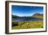 The Sheep of Connemara-Philippe Sainte-Laudy-Framed Photographic Print