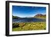 The Sheep of Connemara-Philippe Sainte-Laudy-Framed Photographic Print