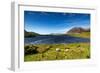 The Sheep of Connemara-Philippe Sainte-Laudy-Framed Photographic Print