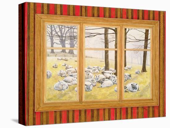 The Sheep Window-Ditz-Stretched Canvas