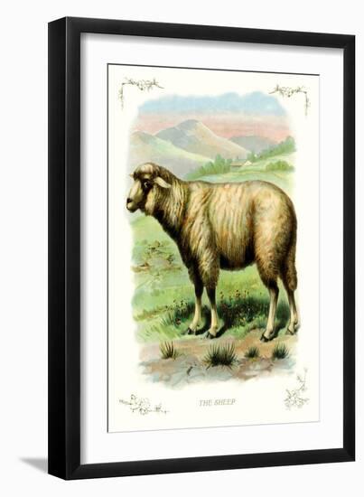 The Sheep-null-Framed Art Print