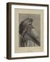 The Sheikh-Carl Haag-Framed Giclee Print