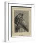 The Sheikh-Carl Haag-Framed Giclee Print