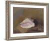 The Shell: Bottom Right, Small Shell, in the Shadow-Odilon Redon-Framed Giclee Print
