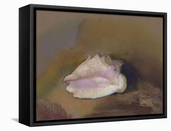 The Shell: Bottom Right, Small Shell, in the Shadow-Odilon Redon-Framed Stretched Canvas