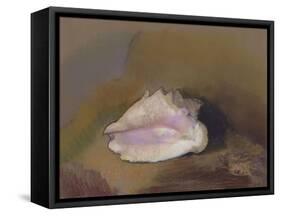 The Shell: Bottom Right, Small Shell, in the Shadow-Odilon Redon-Framed Stretched Canvas