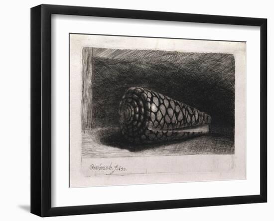 The Shell-Rembrandt van Rijn-Framed Giclee Print