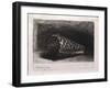 The Shell-Rembrandt van Rijn-Framed Giclee Print