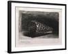 The Shell-Rembrandt van Rijn-Framed Giclee Print