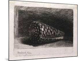 The Shell-Rembrandt van Rijn-Mounted Giclee Print