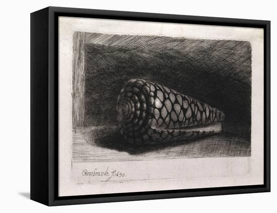 The Shell-Rembrandt van Rijn-Framed Stretched Canvas