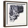 The Shelving Waterfall United States of America-null-Framed Giclee Print