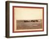 The Shepherd and Flock. on F.E. and M.V. R'Y. in Dakota-John C. H. Grabill-Framed Giclee Print