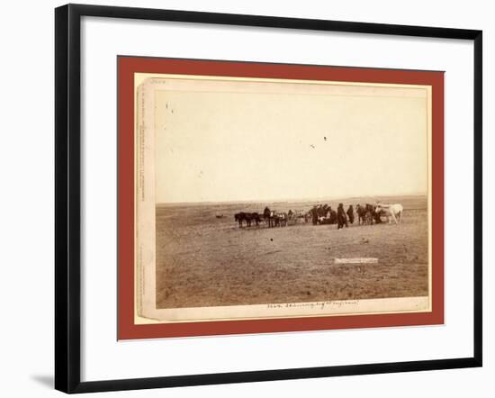 The Shepherd and Flock. on F.E. and M.V. R'Y. in Dakota-John C. H. Grabill-Framed Giclee Print