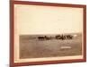 The Shepherd and Flock. on F.E. and M.V. R'Y. in Dakota-John C. H. Grabill-Mounted Giclee Print