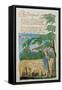 The Shepherd, from Songs of Innocence, 1789-William Blake-Framed Stretched Canvas