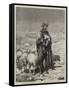 The Shepherd of Jerusalem-null-Framed Stretched Canvas