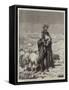 The Shepherd of Jerusalem-null-Framed Stretched Canvas