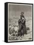 The Shepherd of Jerusalem-null-Framed Stretched Canvas