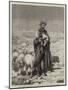 The Shepherd of Jerusalem-null-Mounted Giclee Print