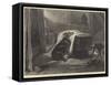 The Shepherd's Chief Mourner-Edwin Landseer-Framed Stretched Canvas