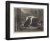 The Shepherd's Chief Mourner-Edwin Landseer-Framed Giclee Print