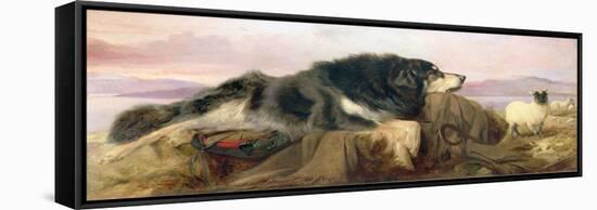 The Shepherd's Dog, 1869 (Oil on Canvas)-Richard Ansdell-Framed Stretched Canvas