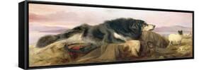 The Shepherd's Dog, 1869 (Oil on Canvas)-Richard Ansdell-Framed Stretched Canvas