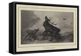 The Shepherd's Revenge-Richard Ansdell-Framed Stretched Canvas