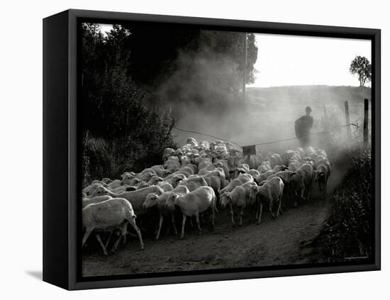 The Shepherd-Monika Brand-Framed Stretched Canvas