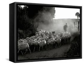 The Shepherd-Monika Brand-Framed Stretched Canvas