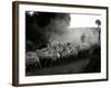 The Shepherd-Monika Brand-Framed Photographic Print