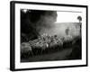 The Shepherd-Monika Brand-Framed Photographic Print