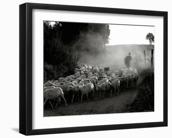 The Shepherd-Monika Brand-Framed Photographic Print