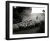 The Shepherd-Monika Brand-Framed Photographic Print