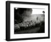 The Shepherd-Monika Brand-Framed Photographic Print