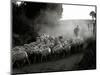 The Shepherd-Monika Brand-Mounted Photographic Print