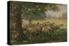 The Shepherdess-William Kay Blacklock-Stretched Canvas