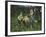 The Shepherdesses-Francesco Paolo Michetti-Framed Giclee Print