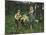 The Shepherdesses-Francesco Paolo Michetti-Mounted Giclee Print