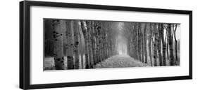 The Shimmering Forest-Heather Ross-Framed Giclee Print