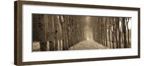 The Shimmering Forest-Heather Ross-Framed Giclee Print