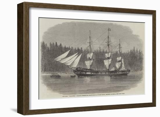 The Ship Wacousta Loading Timber for Mast-Pieces at Puget Sound, British Columbia-null-Framed Giclee Print