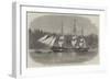 The Ship Wacousta Loading Timber for Mast-Pieces at Puget Sound, British Columbia-null-Framed Giclee Print