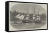 The Ship Wacousta Loading Timber for Mast-Pieces at Puget Sound, British Columbia-null-Framed Stretched Canvas