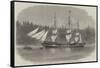 The Ship Wacousta Loading Timber for Mast-Pieces at Puget Sound, British Columbia-null-Framed Stretched Canvas