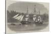 The Ship Wacousta Loading Timber for Mast-Pieces at Puget Sound, British Columbia-null-Stretched Canvas