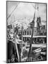 The Shipping of Mules, Syros Island, Greece, 1937-Martin Hurlimann-Mounted Giclee Print