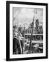 The Shipping of Mules, Syros Island, Greece, 1937-Martin Hurlimann-Framed Giclee Print