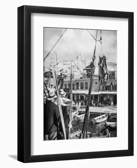 The Shipping of Mules, Syros Island, Greece, 1937-Martin Hurlimann-Framed Premium Giclee Print